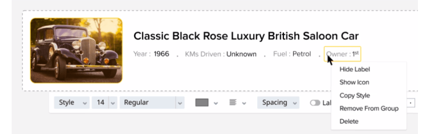 ejemplo panel de canvas zoho