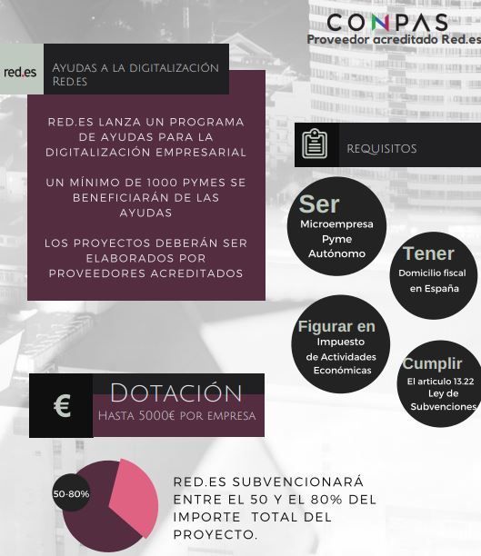 infografia red.es ayudas a la digitalizacion
